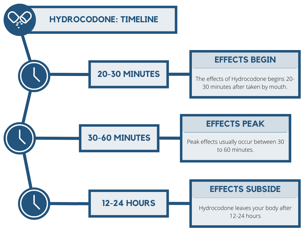 Hydrocodone Effects Timeline